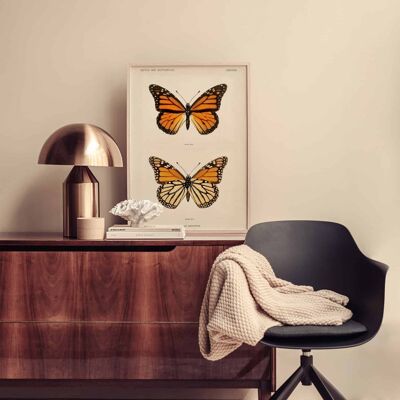 Poster Vintage monarchvlinder - Dieren