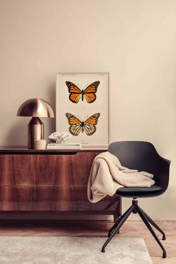 Papillon monarque vintage - Animaux Poster 1
