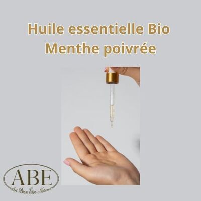 Menta piperita medicinale ingeribile biologica HE