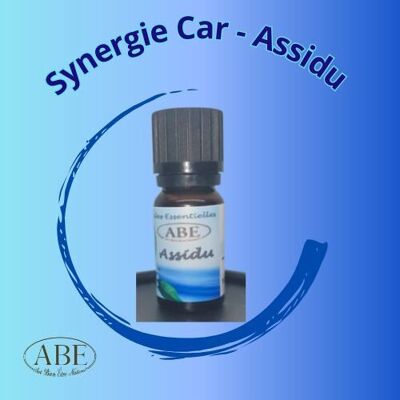 Synergy Car - Asiduo