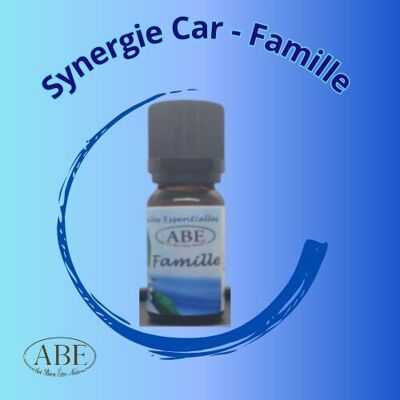 Synergy Car - Family