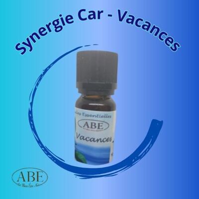 Synergy Car - Holidays