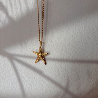Estrella de mar brillante