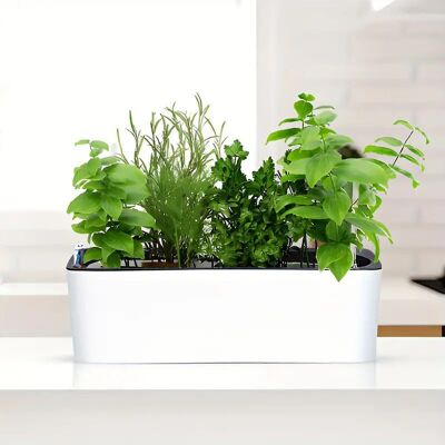 Jardinière rectangulaire auto irrigant