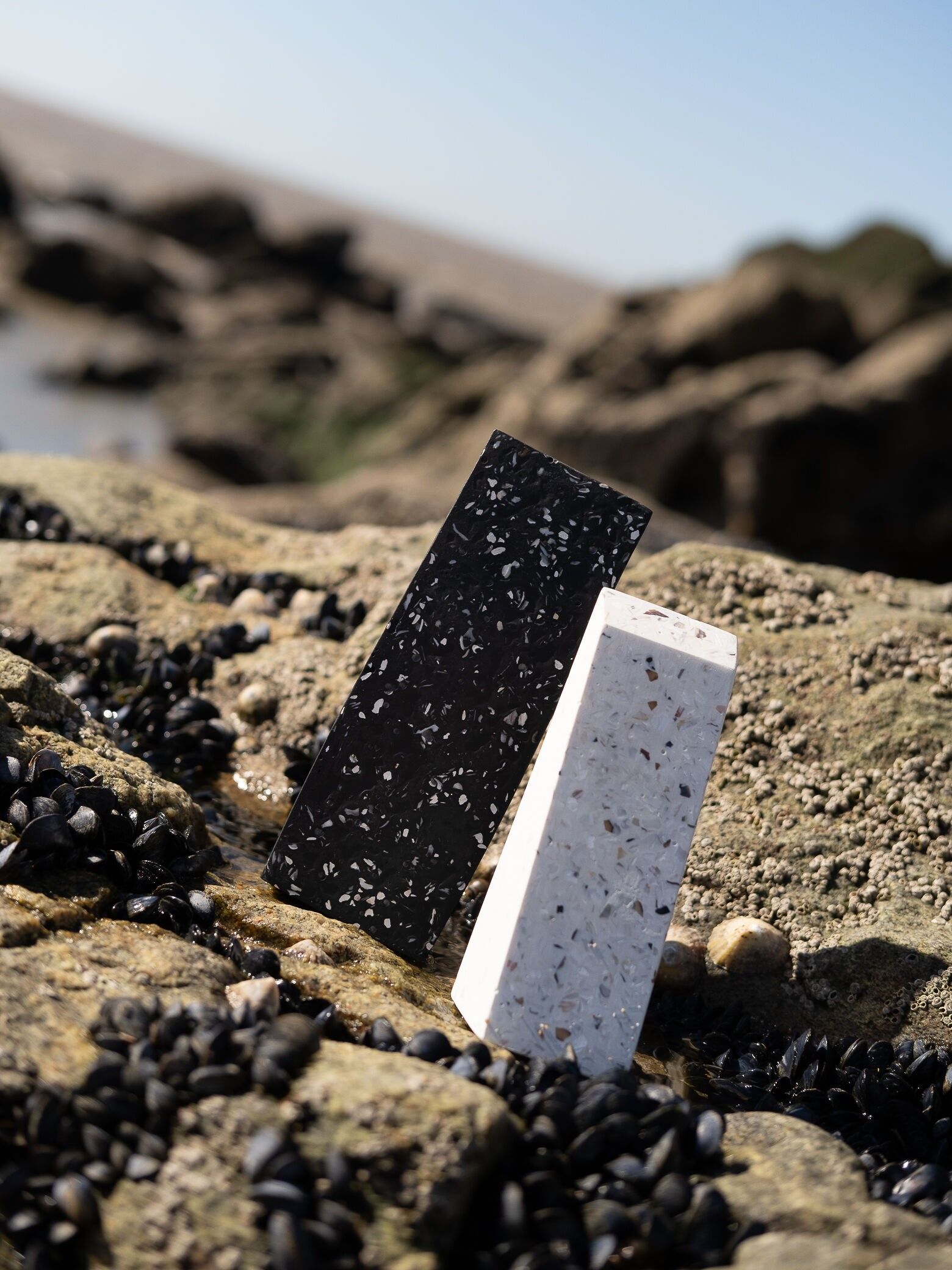 Small recycled shell bookend 16cm