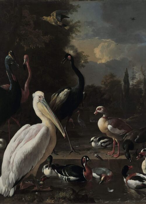 Poster Melchior d'Hondecoeter - Een Pelikaan en ander gevogelte