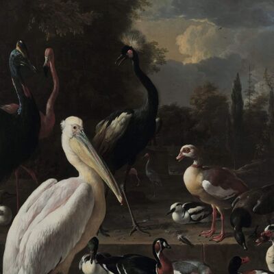 Poster Melchior d'Hondecoeter - A Pelican and Other Poultry
