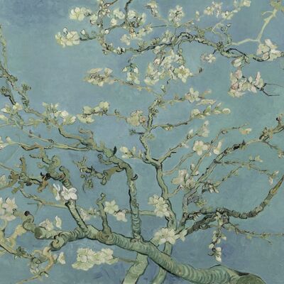 Affiche van Gogh - Fleur