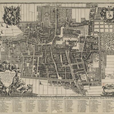 Affiche Carte Historique La Haye - Plan De La Ville 1666