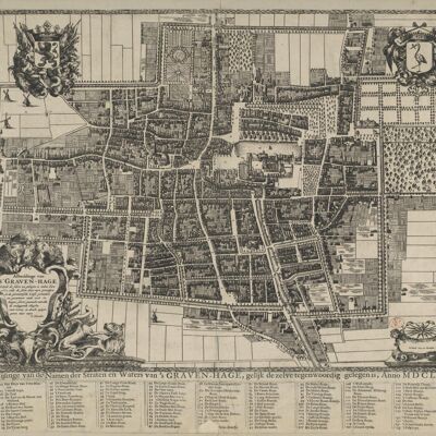 Poster Historical Map The Hague - City Map 1666
