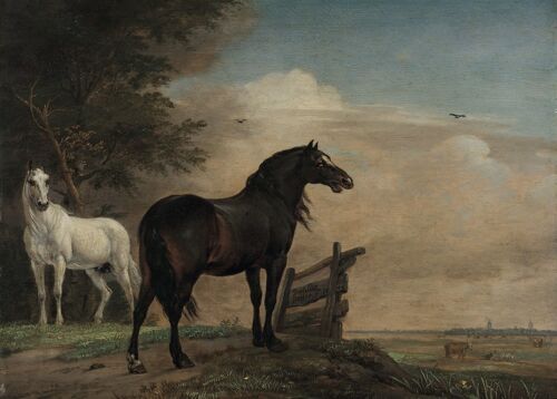 Poster Paulus Potter - Twee paarden in de wei