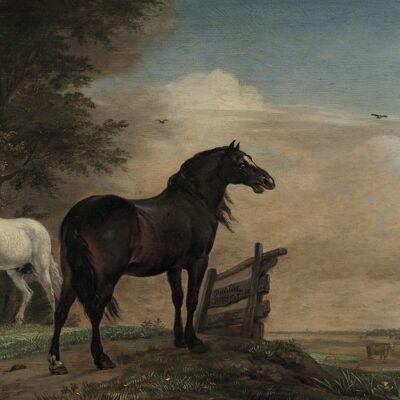 Poster Paulus Potter - Zwei Pferde auf der Wiese