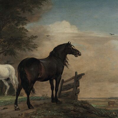 Poster Paulus Potter - Twee paarden in de wei