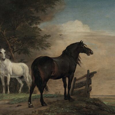 Poster Paulus Potter - Twee paarden in de wei