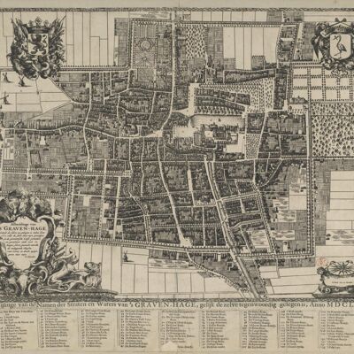 Poster Mappa storica L'Aia - Mappa della città 1666