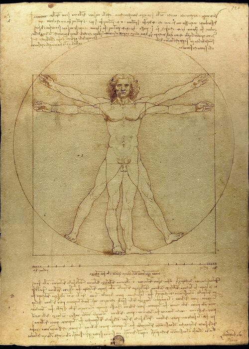 Poster da Vinci - Mens van Vitruvius