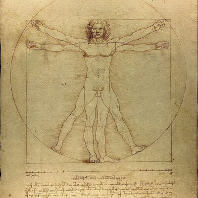 Póster da Vinci - Hombre de Vitruvio