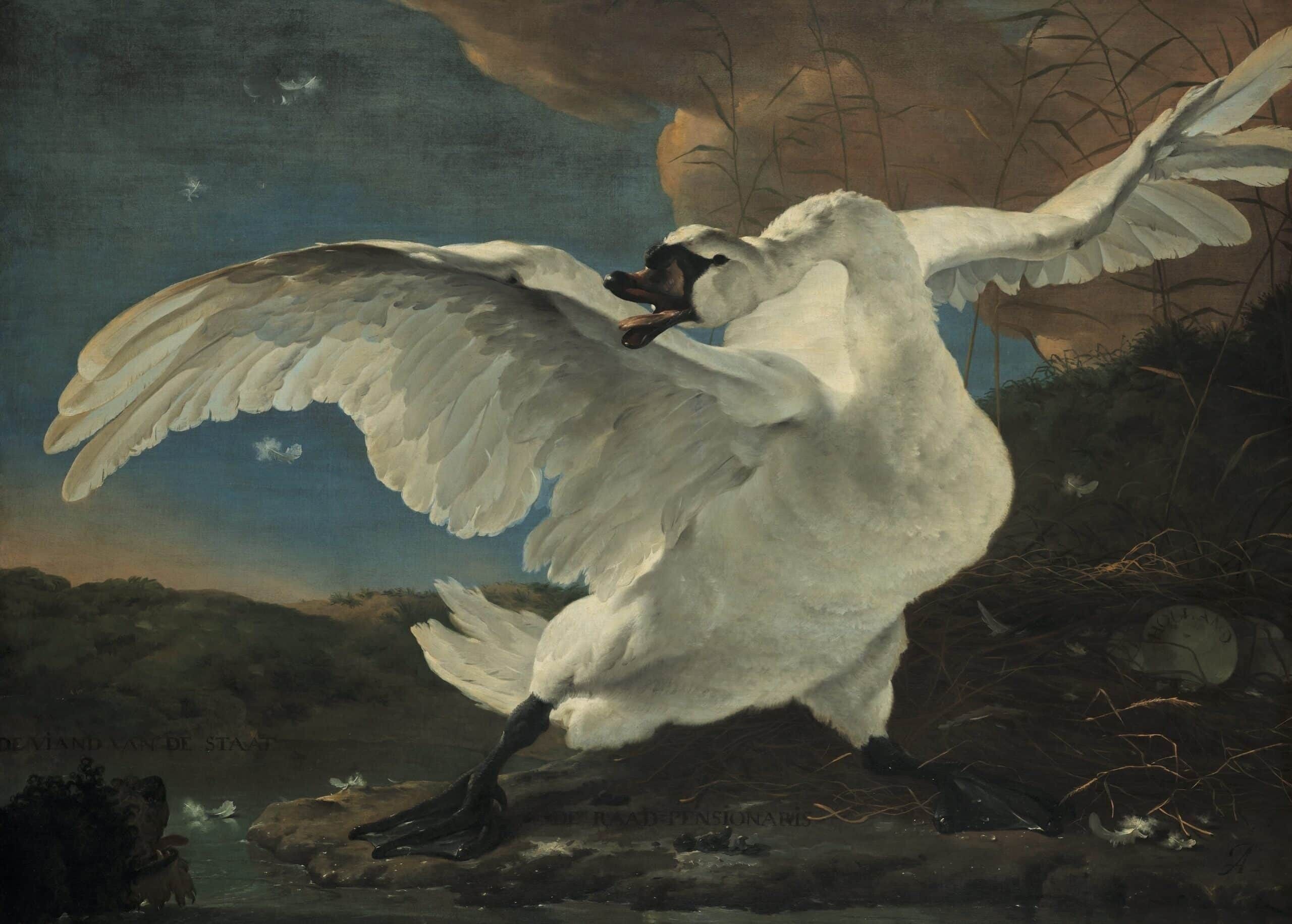 Poster Jan Asselijn - Der bedrohte Schwan