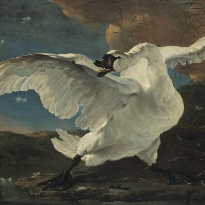 Póster Jan Asselijn - El cisne en peligro de extinción