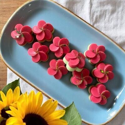 Rhubarb / Strawberry - Summer Collection - 16g