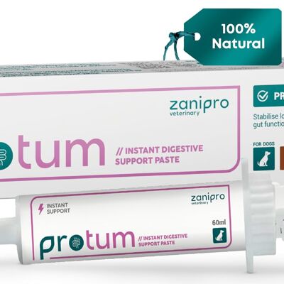 Pasta probiótica Zanipro Protum para perros - 60 ml. Fórmula prebiótica avanzada para el apoyo digestivo. Sabor delicioso para la salud intestinal canina. Favorece la digestión, la recuperación de la diarrea y el bienestar.