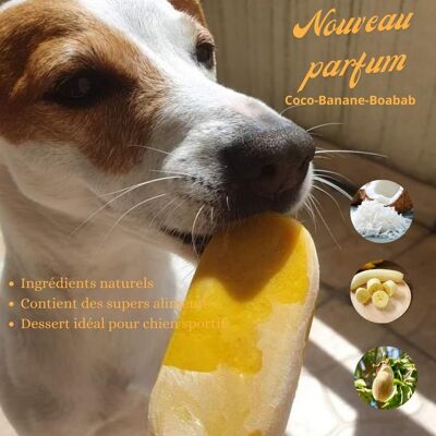 Gelato per cani COCCO-BANANA-BAOBAB