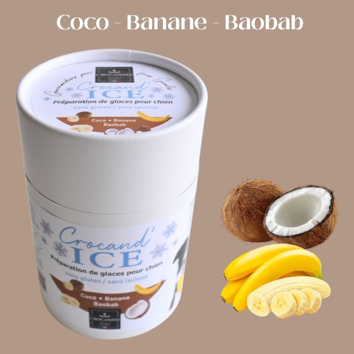 Kokosnuss-Banane-Baobab Hundeeis