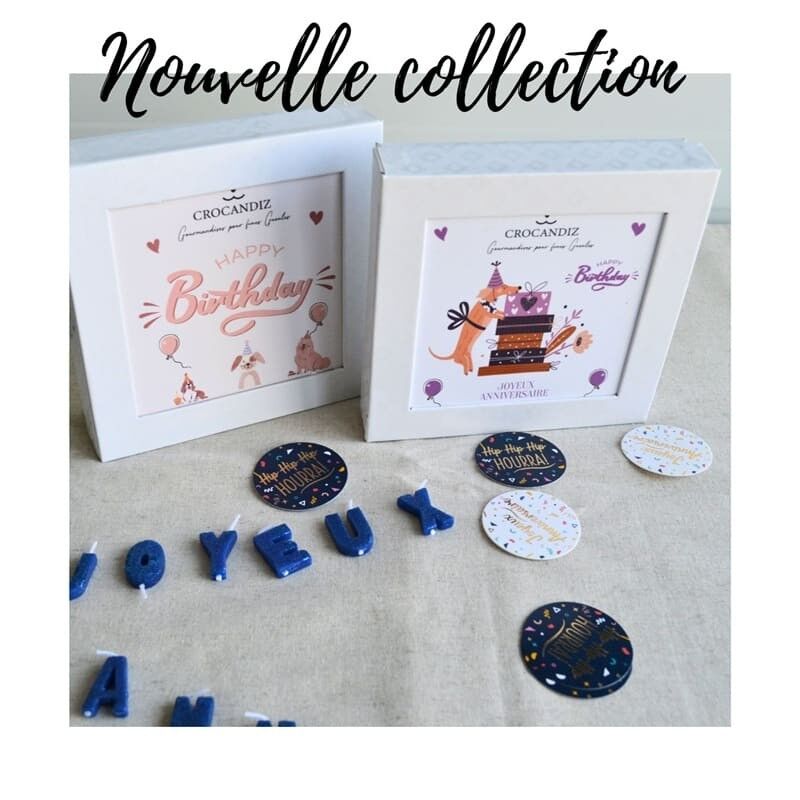 Dog Biscuits - Birthday Box