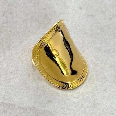Anello armatura in acciaio inossidabile