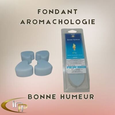 Fondant Inp Aromachology Buon Umore