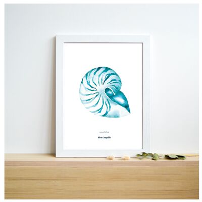 Póster decorativo de papelería - 21 x 29,7 cm - Nautilus