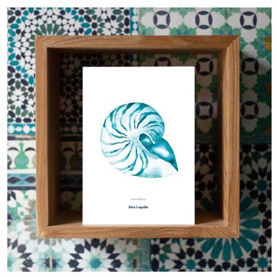 Póster decorativo de papelería - 14,8 x 21 cm - Nautilus