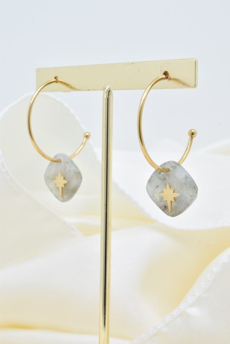 Orecchini in acciaio inossidabile -BO100343OR