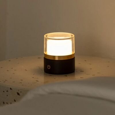 Leo Dark Brown Compact Cordless Rechargeable Lamp – Natural Wood, Dimmable Light