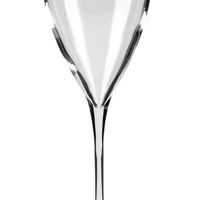 SALVADOR champagne glass