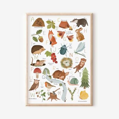 Poster Forest ABC - Immagine dell'alfabeto per bambini
