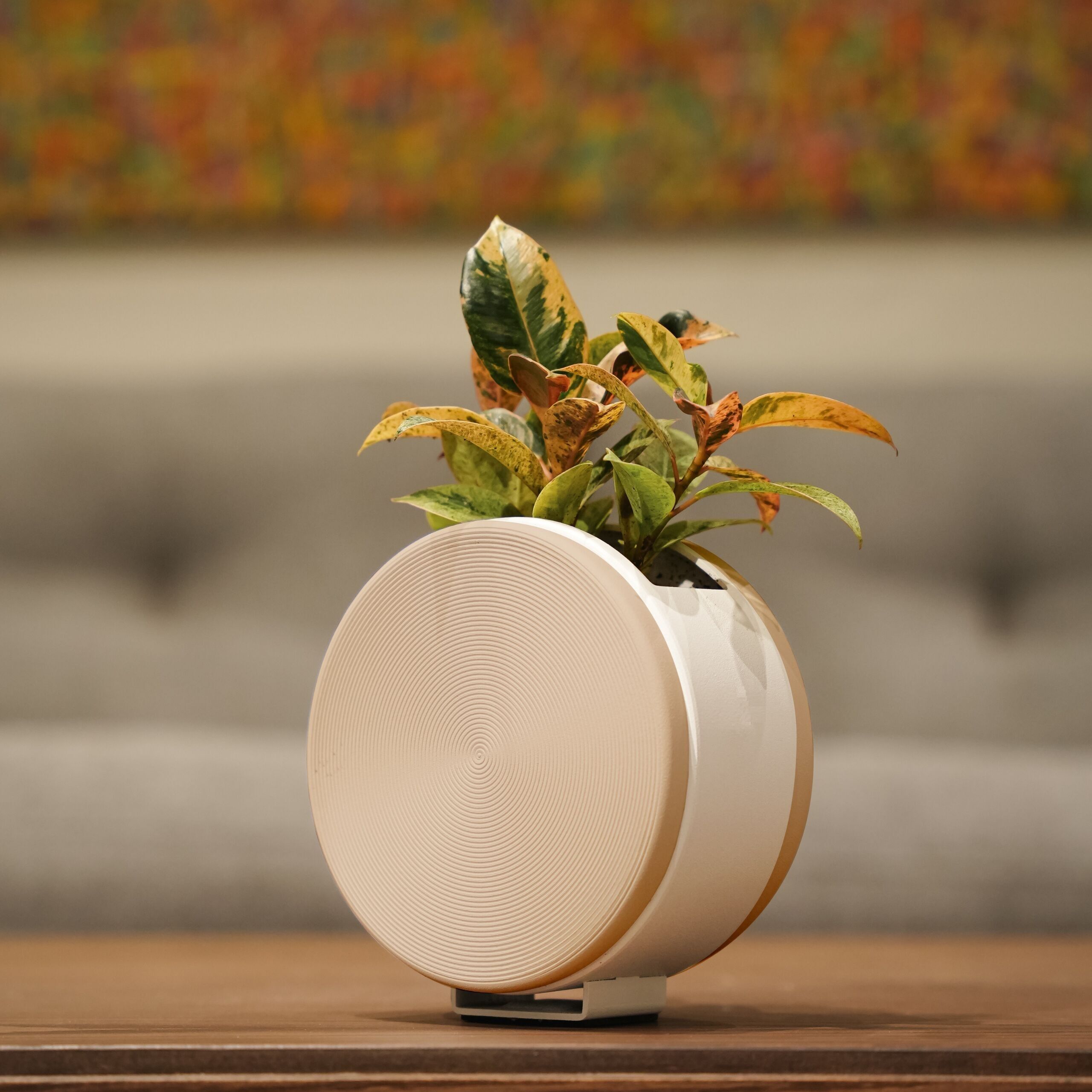 Vaso rotondo autoirrigante