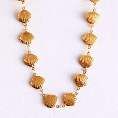 Collier de coquillages