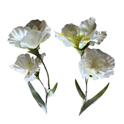 Iris artificial