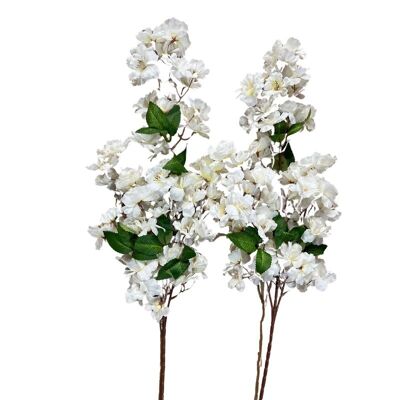 Cerezo blanco