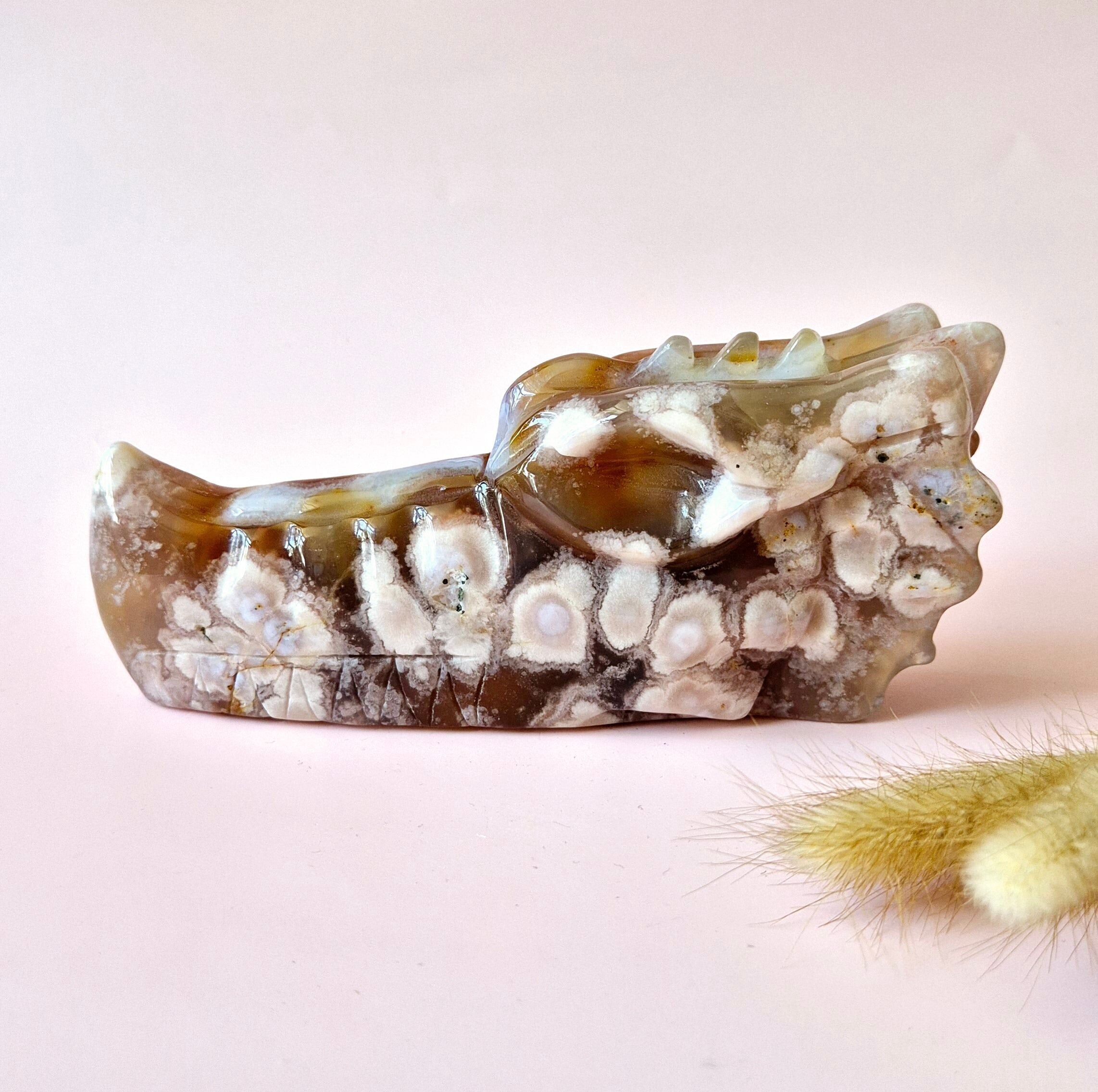 Crâne de dragon en agate fleur de cerisier XL – 656 g | 16x7x4cm (crâne de dragon)