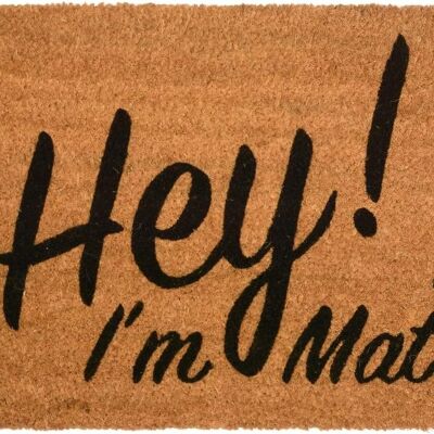 Hey I'm Mat Novelty Doormat Unique Coir Doormats Front Funny