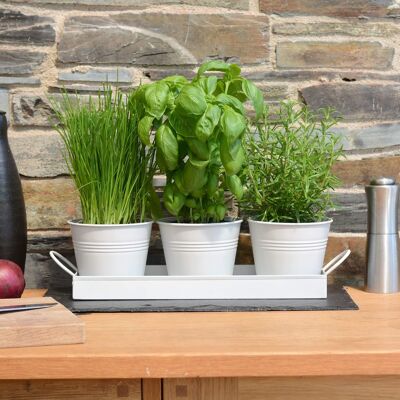 Set di 3 vasi in metallo per erbe aromatiche con sottovaso, per interni, davanzali e cucine (bianco)