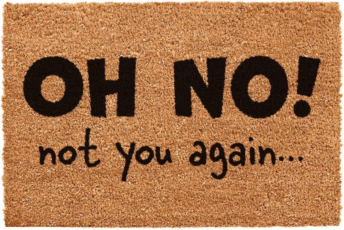 Not You Again Neuheit Fußmatte Einzigartige Kokosfaser Fußmatten vorne