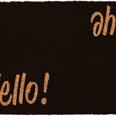 Hello Bye Novelty Doormat Unique Black Coir Front Welcome Doormats