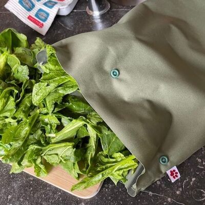 Reusable Freezer Bag: Small - OLIVE
