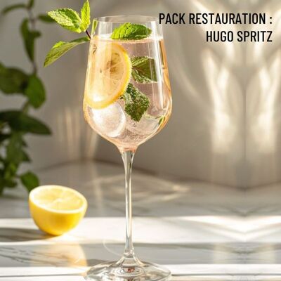 CHR - Pack Hugo Spritz : L'Éclat Brut BIO 75cl (x5) et Sirop Fleur de Sureau Monin 70cl (x1) - Servez des Spritz sans alcool en toute simplicité !