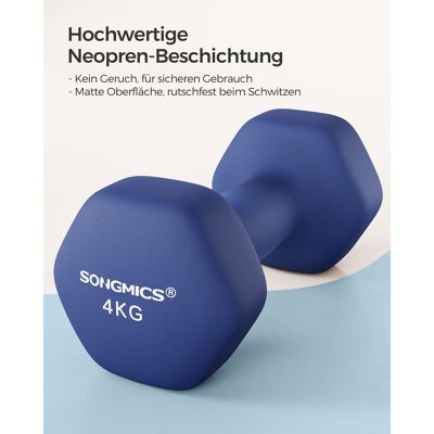 Set di 2 manubri blu