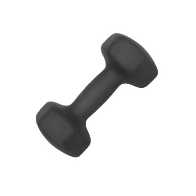Lot de 2 haltères (2 x 10 kg)