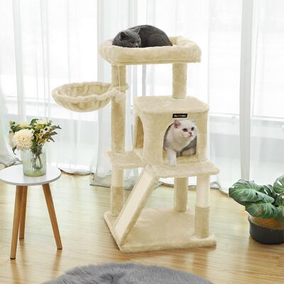 Kattenboom con krabplank